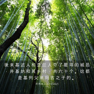 Picture 03 - 历 代 志 上 2:23 CUVS - 後 来 基 述 人 和 亚 兰 人 夺 了 睚 - Bible Verse Picture