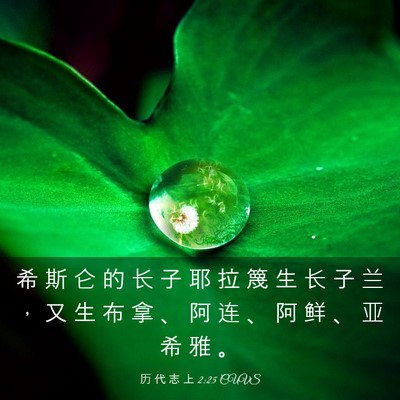 Picture 03 - 历 代 志 上 2:25 CUVS - 希 斯 仑 的 长 子 耶 拉 篾 生 长 子 - Bible Verse Picture
