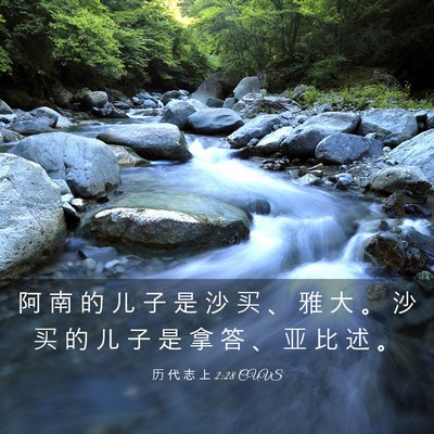 Picture 03 - 历 代 志 上 2:28 CUVS - 阿 南 的 儿 子 是 沙 买 、 雅 大 。 - Bible Verse Picture