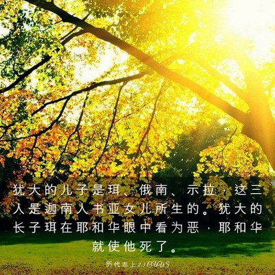Picture 03 - 历 代 志 上 2:3 CUVS - 犹 大 的 儿 子 是 珥 、 俄 南 、 示 - Bible Verse Picture
