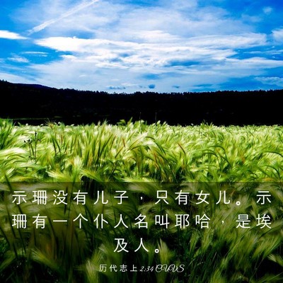 Picture 03 - 历 代 志 上 2:34 CUVS - 示 珊 没 有 儿 子 ， 只 有 女 儿 。 - Bible Verse Picture