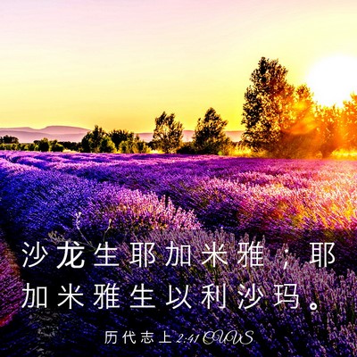Picture 03 - 历 代 志 上 2:41 CUVS - 沙 龙 生 耶 加 米 雅 ； 耶 加 米 雅 - Bible Verse Picture