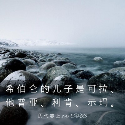 Picture 03 - 历 代 志 上 2:43 CUVS - 希 伯 仑 的 儿 子 是 可 拉 、 他 普 - Bible Verse Picture