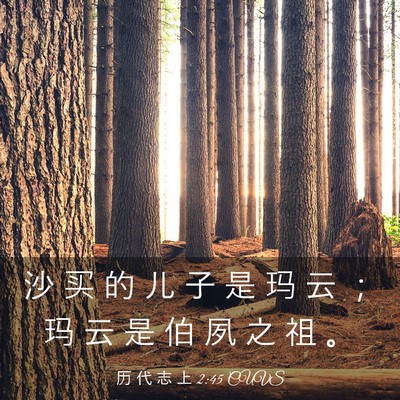 Picture 03 - 历 代 志 上 2:45 CUVS - 沙 买 的 儿 子 是 玛 云 ； 玛 云 是 - Bible Verse Picture