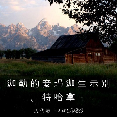 Picture 03 - 历 代 志 上 2:48 CUVS - 迦 勒 的 妾 玛 迦 生 示 别 、 特 哈 - Bible Verse Picture