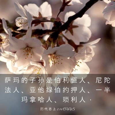 Picture 03 - 历 代 志 上 2:54 CUVS - 萨 玛 的 子 孙 是 伯 利 恒 人 、 尼 - Bible Verse Picture
