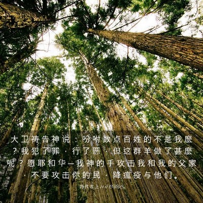 Picture 03 - 历 代 志 上 21:17 CUVS - 大 卫 祷 告 神 说 ： 吩 咐 数 点 百 - Bible Verse Picture