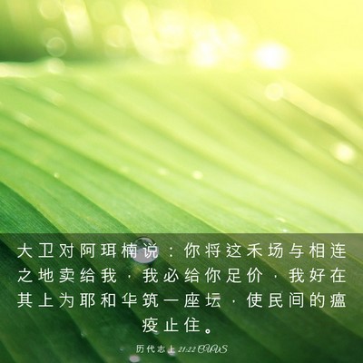 Picture 03 - 历 代 志 上 21:22 CUVS - 大 卫 对 阿 珥 楠 说 ： 你 将 这 禾 - Bible Verse Picture
