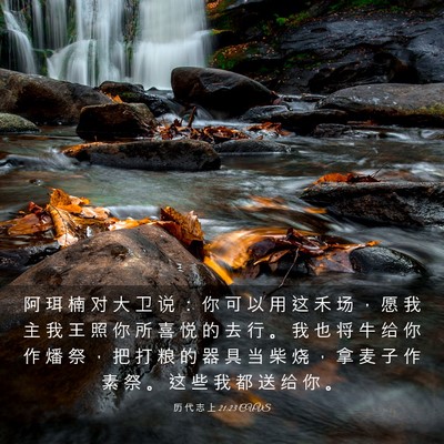 Picture 03 - 历 代 志 上 21:23 CUVS - 阿 珥 楠 对 大 卫 说 ： 你 可 以 用 - Bible Verse Picture