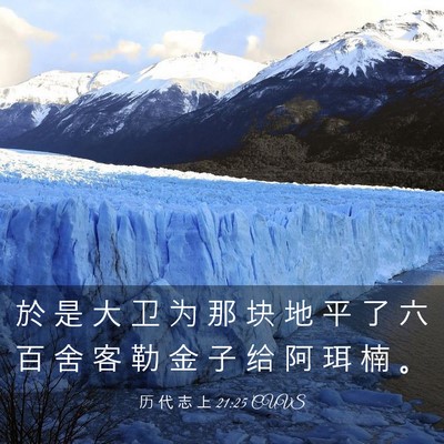 Picture 03 - 历 代 志 上 21:25 CUVS - 於 是 大 卫 为 那 块 地 平 了 六 百 - Bible Verse Picture