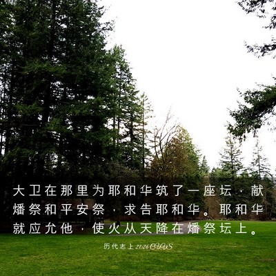 Picture 03 - 历 代 志 上 21:26 CUVS - 大 卫 在 那 里 为 耶 和 华 筑 了 一 - Bible Verse Picture