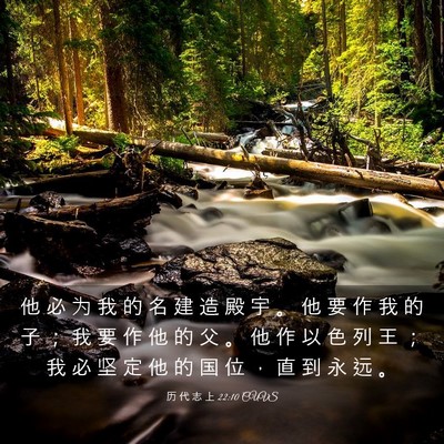 Picture 03 - 历 代 志 上 22:10 CUVS - 他 必 为 我 的 名 建 造 殿 宇 。 他 - Bible Verse Picture