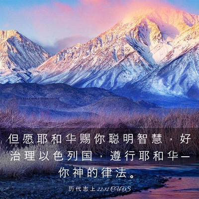 Picture 03 - 历 代 志 上 22:12 CUVS - 但 愿 耶 和 华 赐 你 聪 明 智 慧 ， - Bible Verse Picture