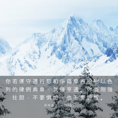 Picture 03 - 历 代 志 上 22:13 CUVS - 你 若 谨 守 遵 行 耶 和 华 藉 摩 西 - Bible Verse Picture
