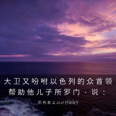Picture 03 - 历 代 志 上 22:17 CUVS - 大 卫 又 吩 咐 以 色 列 的 众 首 领 - Bible Verse Picture
