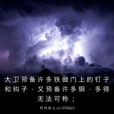 Picture 03 - 历 代 志 上 22:3 CUVS - 大 卫 预 备 许 多 铁 做 门 上 的 钉 - Bible Verse Picture