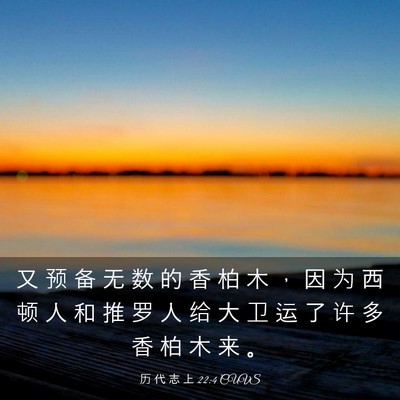 Picture 03 - 历 代 志 上 22:4 CUVS - 又 预 备 无 数 的 香 柏 木 ， 因 为 - Bible Verse Picture