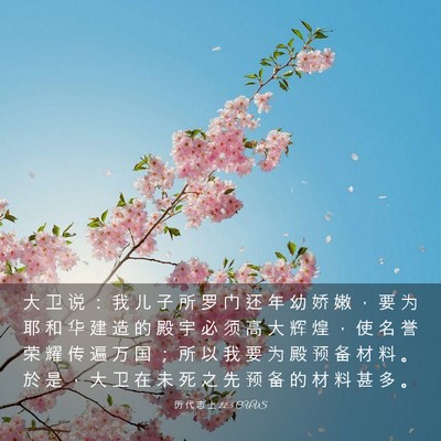 Picture 03 - 历 代 志 上 22:5 CUVS - 大 卫 说 ： 我 儿 子 所 罗 门 还 年 - Bible Verse Picture