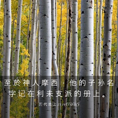 Picture 03 - 历 代 志 上 23:14 CUVS - 至 於 神 人 摩 西 ， 他 的 子 孙 名 - Bible Verse Picture