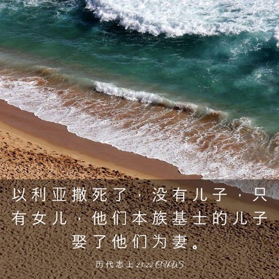Picture 03 - 历 代 志 上 23:22 CUVS - 以 利 亚 撒 死 了 ， 没 有 儿 子 ， - Bible Verse Picture