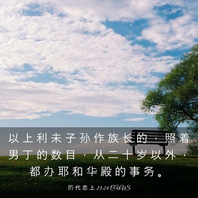Picture 03 - 历 代 志 上 23:24 CUVS - 以 上 利 未 子 孙 作 族 长 的 ， 照 - Bible Verse Picture