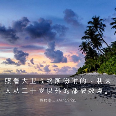 Picture 03 - 历 代 志 上 23:27 CUVS - 照 着 大 卫 临 终 所 吩 咐 的 ， 利 - Bible Verse Picture