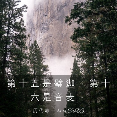 Picture 03 - 历 代 志 上 24:14 CUVS - 第 十 五 是 璧 迦 ， 第 十 六 是 音 - Bible Verse Picture