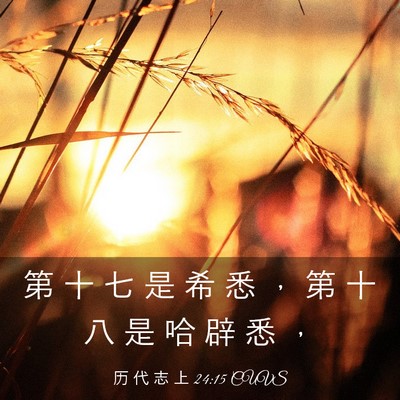 Picture 03 - 历 代 志 上 24:15 CUVS - 第 十 七 是 希 悉 ， 第 十 八 是 哈 - Bible Verse Picture