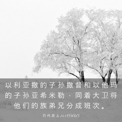 Picture 03 - 历 代 志 上 24:3 CUVS - 以 利 亚 撒 的 子 孙 撒 督 和 以 他 - Bible Verse Picture