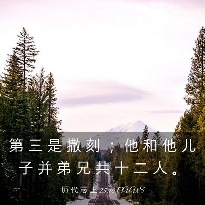 Picture 03 - 历 代 志 上 25:10 CUVS - 第 三 是 撒 刻 ； 他 和 他 儿 子 并 - Bible Verse Picture