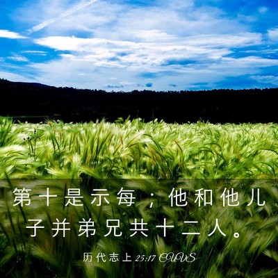 Picture 03 - 历 代 志 上 25:17 CUVS - 第 十 是 示 每 ； 他 和 他 儿 子 并 - Bible Verse Picture
