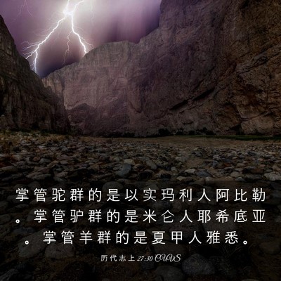 Picture 03 - 历 代 志 上 27:30 CUVS - 掌 管 驼 群 的 是 以 实 玛 利 人 阿 - Bible Verse Picture