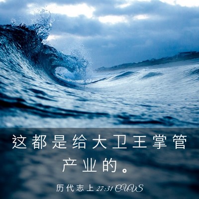 Picture 03 - 历 代 志 上 27:31 CUVS - 这 都 是 给 大 卫 王 掌 管 产 业 的 - Bible Verse Picture