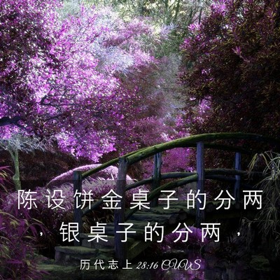 Picture 03 - 历 代 志 上 28:16 CUVS - 陈 设 饼 金 桌 子 的 分 两 ， 银 桌 - Bible Verse Picture