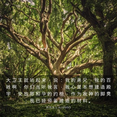 Picture 03 - 历 代 志 上 28:2 CUVS - 大 卫 王 就 站 起 来 ， 说 ： 我 的 - Bible Verse Picture