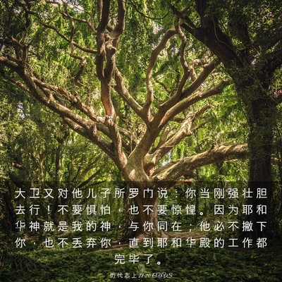 Picture 03 - 历 代 志 上 28:20 CUVS - 大 卫 又 对 他 儿 子 所 罗 门 说 ： - Bible Verse Picture