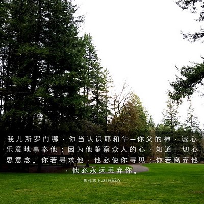 Picture 03 - 历 代 志 上 28:9 CUVS - 我 儿 所 罗 门 哪 ， 你 当 认 识 耶 - Bible Verse Picture