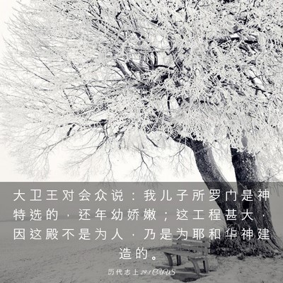 Picture 03 - 历 代 志 上 29:1 CUVS - 大 卫 王 对 会 众 说 ： 我 儿 子 所 - Bible Verse Picture