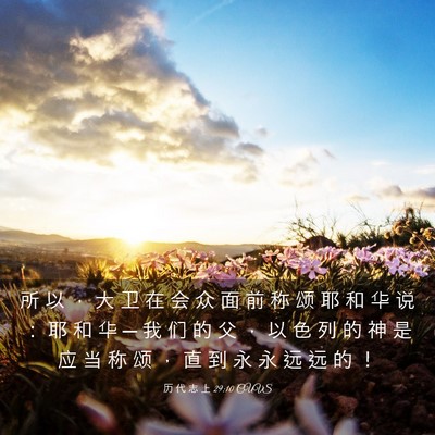 Picture 03 - 历 代 志 上 29:10 CUVS - 所 以 ， 大 卫 在 会 众 面 前 称 颂 - Bible Verse Picture