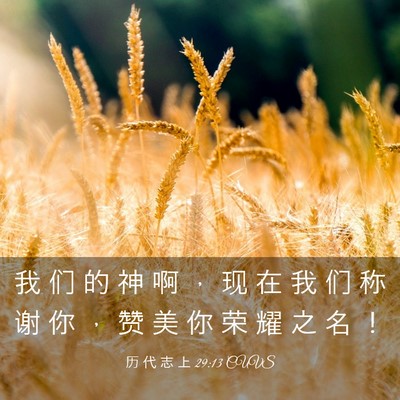 Picture 03 - 历 代 志 上 29:13 CUVS - 我 们 的 神 啊 ， 现 在 我 们 称 谢 - Bible Verse Picture