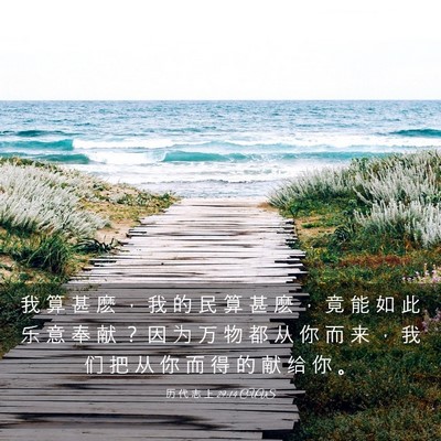 Picture 03 - 历 代 志 上 29:14 CUVS - 我 算 甚 麽 ， 我 的 民 算 甚 麽 ， - Bible Verse Picture