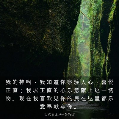 Picture 03 - 历 代 志 上 29:17 CUVS - 我 的 神 啊 ， 我 知 道 你 察 验 人 - Bible Verse Picture