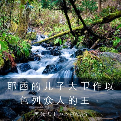 Picture 03 - 历 代 志 上 29:26 CUVS - 耶 西 的 儿 子 大 卫 作 以 色 列 众 - Bible Verse Picture