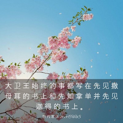 Picture 03 - 历 代 志 上 29:29 CUVS - 大 卫 王 始 终 的 事 都 写 在 先 见 - Bible Verse Picture