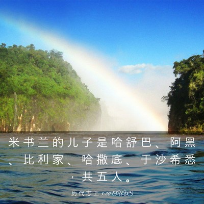 Picture 03 - 历 代 志 上 3:20 CUVS - 米 书 兰 的 儿 子 是 哈 舒 巴 、 阿 - Bible Verse Picture
