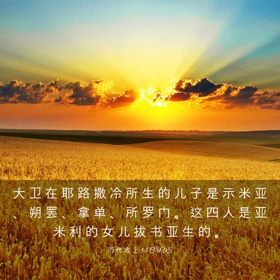Picture 03 - 历 代 志 上 3:5 CUVS - 大 卫 在 耶 路 撒 冷 所 生 的 儿 子 - Bible Verse Picture