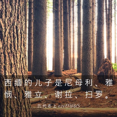 Picture 03 - 历 代 志 上 4:24 CUVS - 西 缅 的 儿 子 是 尼 母 利 、 雅 悯 - Bible Verse Picture