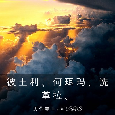 Picture 03 - 历 代 志 上 4:30 CUVS - 彼 土 利 、 何 珥 玛 、 洗 革 拉 - Bible Verse Picture