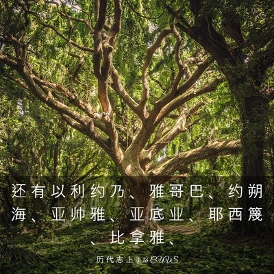 Picture 03 - 历 代 志 上 4:36 CUVS - 还 有 以 利 约 乃 、 雅 哥 巴 、 约 - Bible Verse Picture