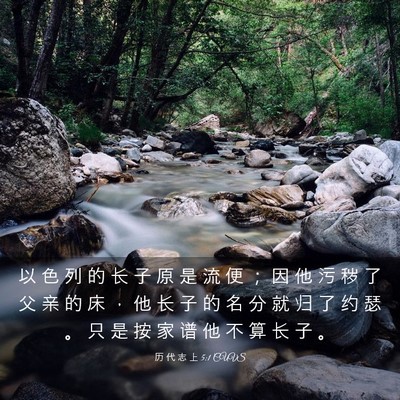 Picture 03 - 历 代 志 上 5:1 CUVS - 以 色 列 的 长 子 原 是 流 便 ； 因 - Bible Verse Picture